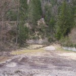 schnurschiessen_20120703_1166007920